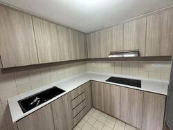 Carissa Park Condominium (D17), Condominium #614683551